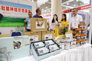 魚臺79家企業亮相省城，生態農產品與保潔服務雙星閃耀